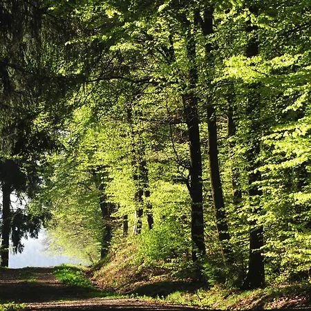 威登伯格霍夫酒店 3*