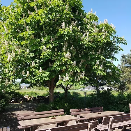 Wildenburger Hof 3* Кемпфельд