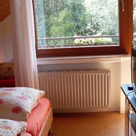 Wildenburger Hof Vendégház