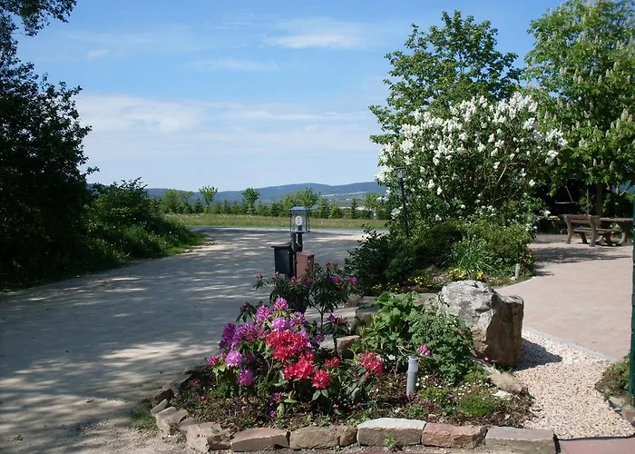 Wildenburger Hof Πανσιόν 3*