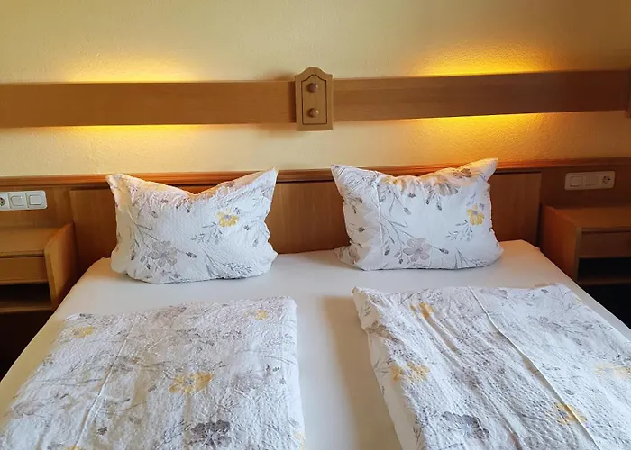 Wildenburger Hof Casa de hóspedes 3*