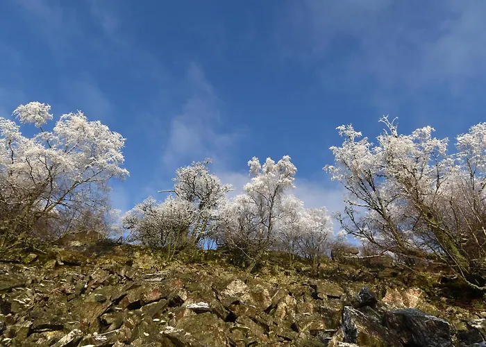 Casa de hóspedes Wildenburger Hof