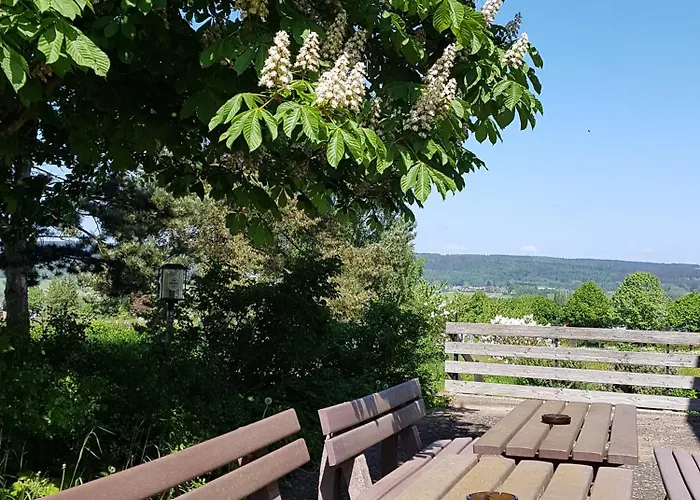 Wildenburger Hof Casa de hóspedes