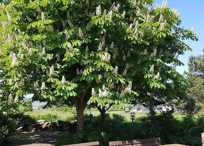 Wildenburger Hof 3* Kempfeld